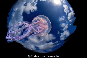 toward orbit by Salvatore Ianniello 